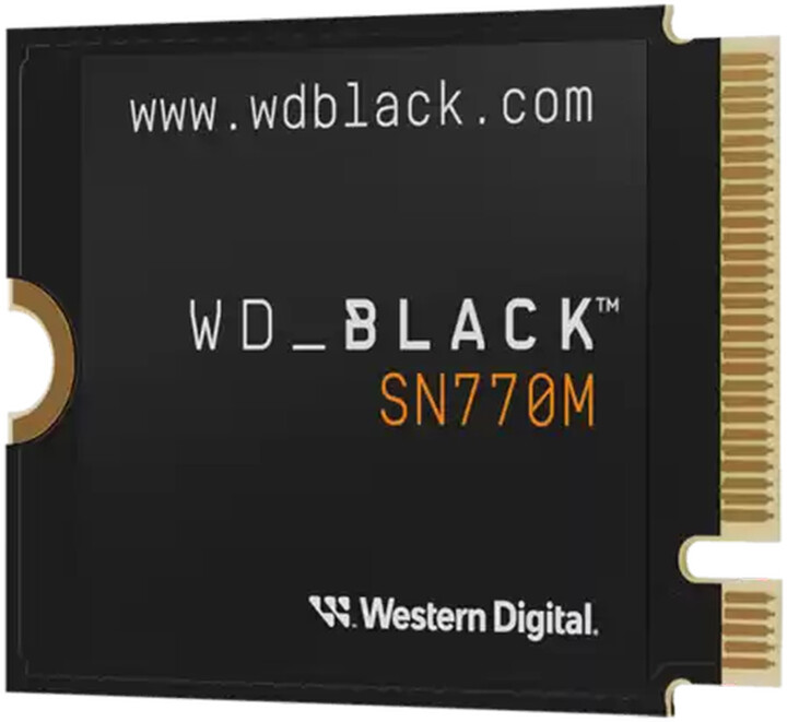 WD Black SN770M, M.2 - 1TB_586266083