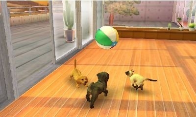 Nintendo 3DS, růžová + Nintendogs+Cats: Golden Retriever_1785545897