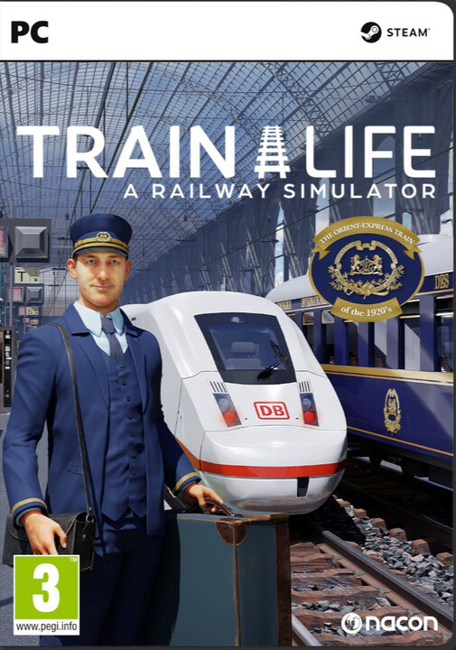 Train Life: A Railway Simulator (PC)_750025688
