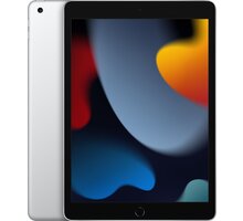 Apple iPad 2021, 256GB, Wi-Fi, Silver MK2P3FD/A