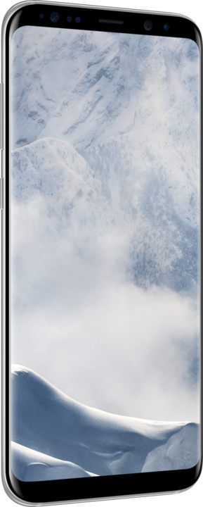 Samsung Galaxy S8+, 64GB, stříbrná_325528566