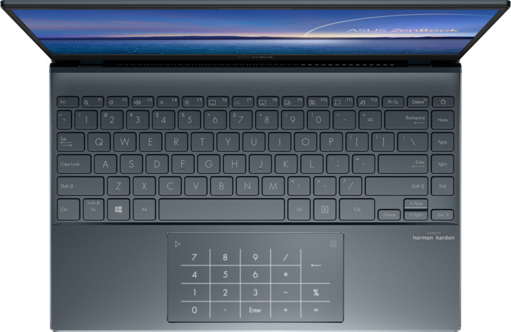 ASUS ZenBook 13 UX325 (11th Gen Intel), šedá_548712896