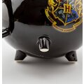 Hrnek Harry Potter - Cauldron 3D_605774985