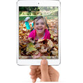APPLE iPad mini, 16GB, bílá_1755738491