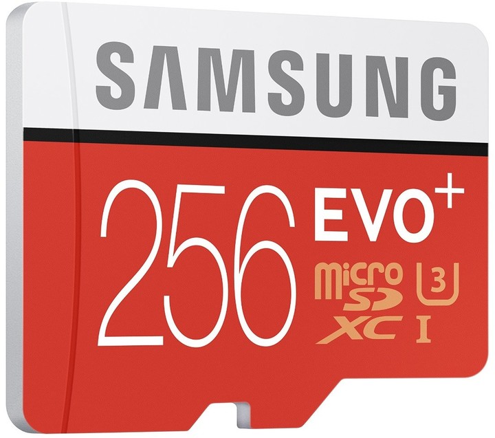 Samsung Micro SDXC EVO+ 256GB UHS-I U3 + SD adaptér_1811101857