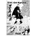 Komiks Naruto: Absolutní umění, 40.díl, manga_993779049