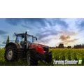 Farming Simulator 17 - Platinum Edition (PS4)_1055046388