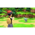 Pokémon Shining Pearl (SWITCH)_2131665870