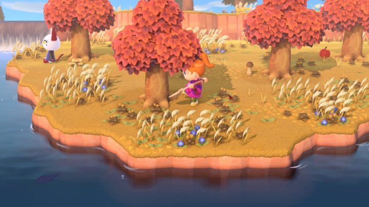 Animal Crossing: New Horizons (SWITCH)_1671004812