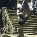 E3: Sony ukázalo Last Guardian i Final Fantasy VII v novém kabátě. A fanoušci jásali…