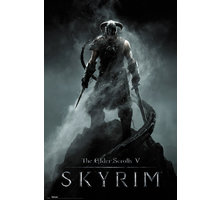 Plakát Skyrim - Dragonborn_1171571652