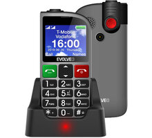 Evolveo EasyPhone FM SGM EP-800-FMS, Silver_378802420