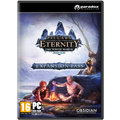 Pillars of Eternity: The White March Expansion Pass (PC)