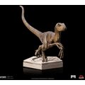 Figurka Iron Studios Jurassic Park - Velociraptor B - Icons_563824251