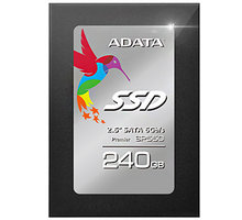 ADATA Premier SP550 - 240GB_1803757998
