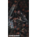 Tomb Raider: Definitive Edition (Xbox ONE)_1780657893