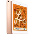 Apple iPad Mini, 256GB, Wi-Fi, Gold, 2019 (5. gen.)_542436178