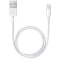 Lightning to USB Cable, 1m (bulk)