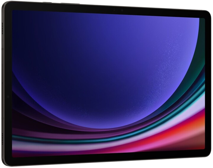 Samsung Galaxy Tab S9 5G, 8GB/128GB, Gray_1450647992