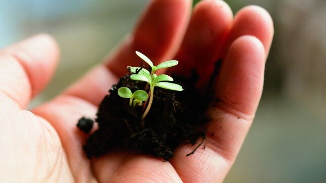 Omlouváme se, popis obrázku chybí.